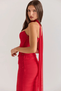 Women's Mesh Strapless Maxi Dress with Choker Tie and Fishtail Hem - Maisie London