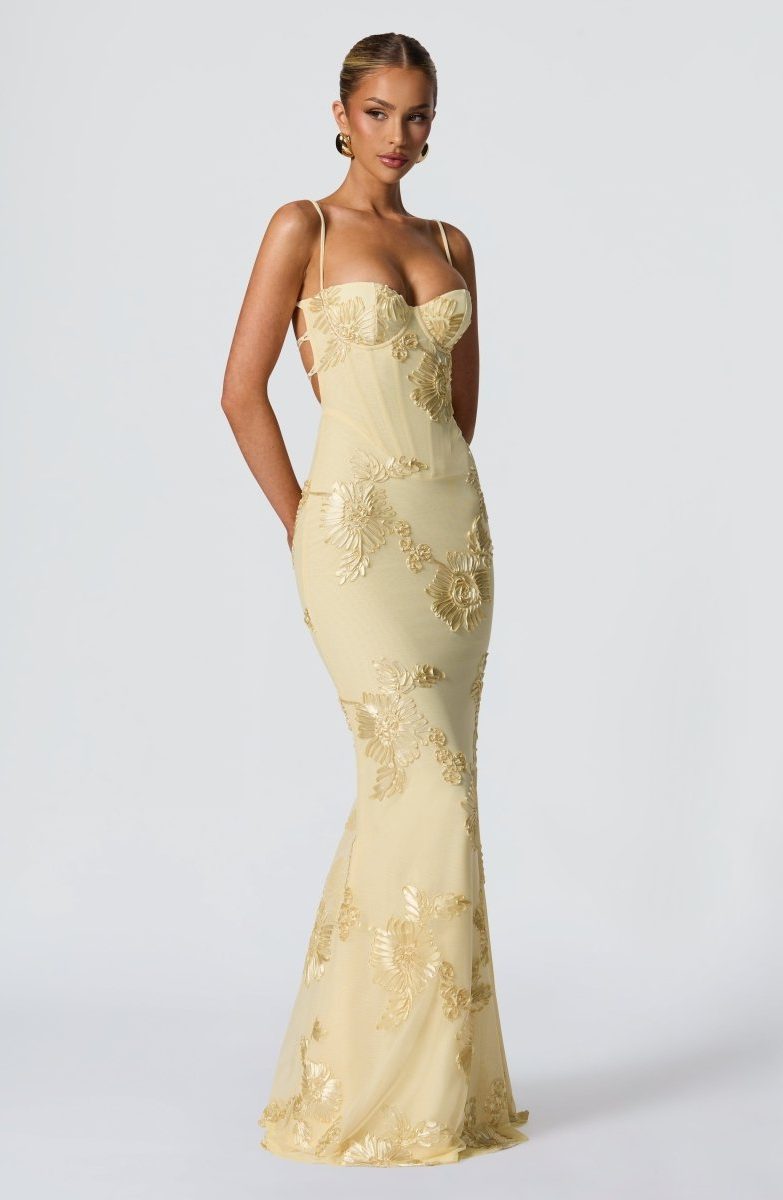 Women's Floral Appliqué Corset Maxi Dress with Lace-Up Back - Maisie London